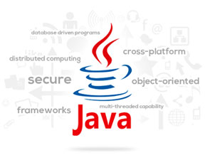 Java Development Services