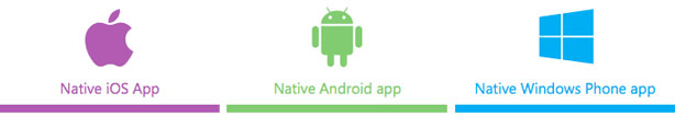 Native App